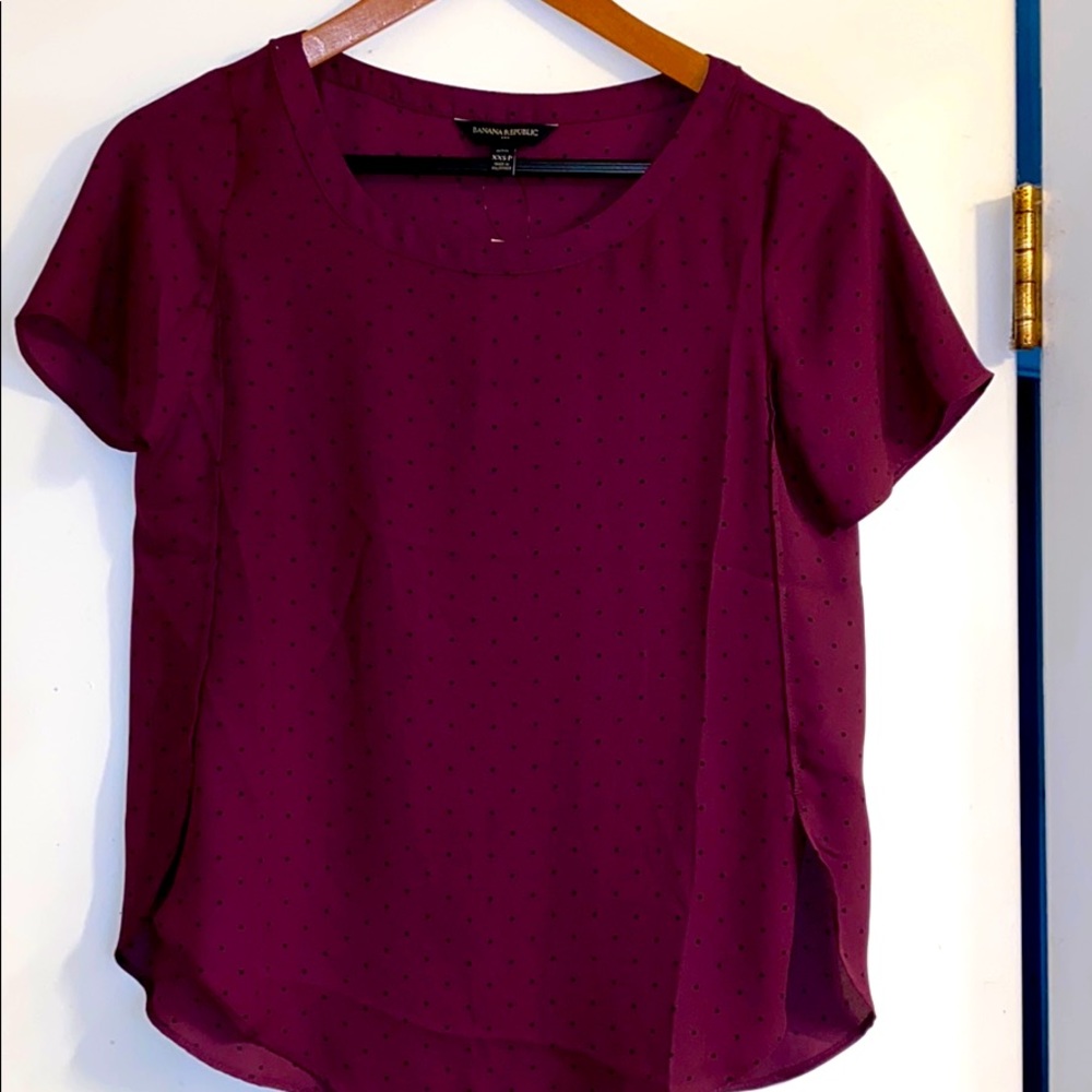 Banana Republic sheer dress blouse